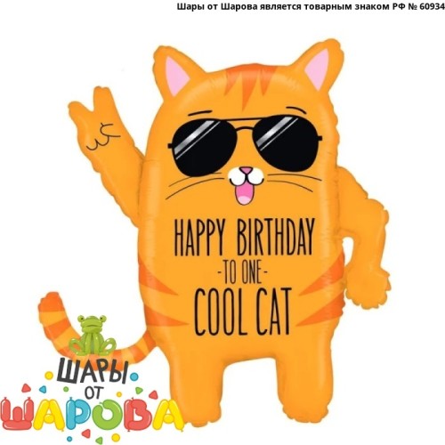 Happy Cool Cat Happy Birthday — воздушные шары в Нижнем Новгороде